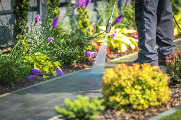 Best Winterizing Services  in Kenvil, NJ